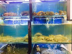 水产区-老东镇啤酒屋海鲜加工·蒸汽海鲜·海鲜烧烤(台东店)