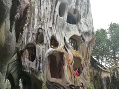 -疯狂屋