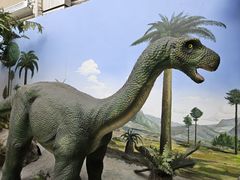 -国家自然博物馆