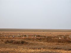 -鄱阳湖国家湿地公园