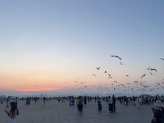 -东港音乐喷泉广场