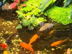 -隐炉和牛烧肉店(群力店)