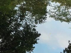 -广州兰圃
