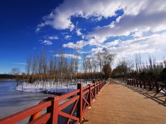 -大兴滨河森林公园