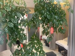 -麦悠悠·SPA·推拿(沈杜公路地铁站店)