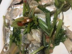 -龙眼南白粥六顺白粥