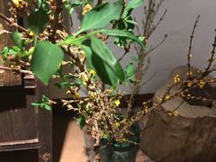 -天水蔬食料理(树德之光店)