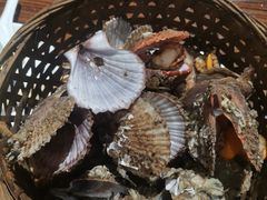 -蚝堡海鲜·威海菜·海肠捞饭·烧烤·亚洲吃蚝公司(幸福门店)