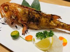 -彩汐 日式海鲜&烧鸟居酒屋