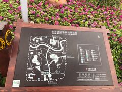 景点-金沙遗址博物馆