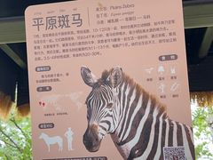 -武汉动物园