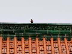 -宝通禅寺