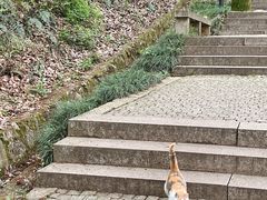 -苏州上方山国家森林公园