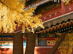 -故宫博物院(故宫)