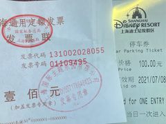 -迪士尼乐园停车场