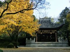 -汇龙潭