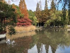 -瀛洲公园