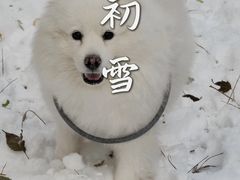 -常营天街长楹美食(常营民族家园B区店)