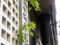 -扫雪煮茶(西村店)