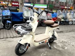 -雅迪电动车(北艾路店)