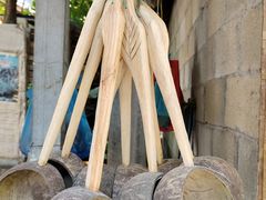 -西双版纳傣族园