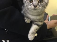 -瑞鹏宠物医院·爱宠堂·骨外专科(西荷分院)