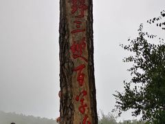 -野三坡百草畔景区