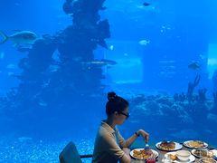 -海棠湾洲际-涛·海底餐厅·美人鱼·自助餐·海底隧道