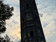 -上海佘山国家森林公园天马山园