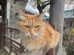 -大学习巷清真寺