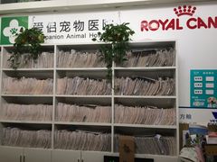 -爱侣宠医·鹦鹉专科·小型哺乳类·异宠专科(灵石路店)