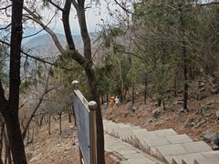 -北京十三陵国家森林公园蟒山景区