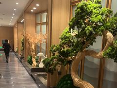 -百姓渔村(南中环店)