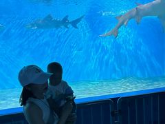 -北戴河圣蓝海洋公园