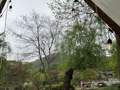 -白马涧龙池景区