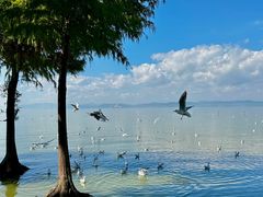-捞渔河湿地公园