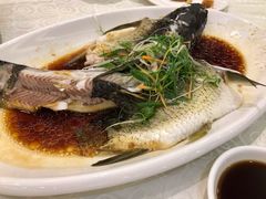 泉水浸鲩鱼-畔山酒店中餐厅