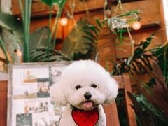 -知物癖(牛王庙店)