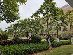 -厦门国家会计学院