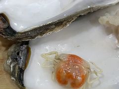 -爱蚝屋