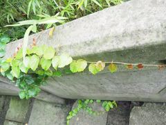 -黄公望隐居地