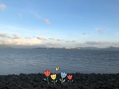 -深圳人才公园