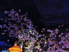 -绿茶餐厅(西湖银泰百货店)