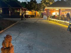 -醉月城西昌火盆烧烤(天府店)