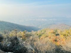-紫金山天文台
