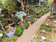 -苏州市皮市街花鸟工艺品市场
