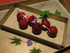 樱桃鹅肝-解香楼(八盘岭路店)