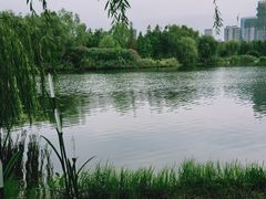 -滨湖塘西河公园