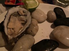 -Ocean's Table 欧舍
