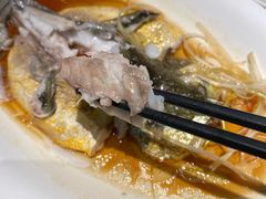 清蒸东海大黄鱼-鹊玥·粤菜小馆(汇智国际商业中心店)